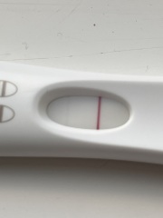 Pregnant or not