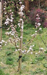 Thread 6 - TalkExiles: "Yup, still round."