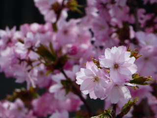 Thread 6 - TalkExiles: "Yup, still round."