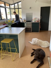 Cork floor in kitchen - yay or nay?