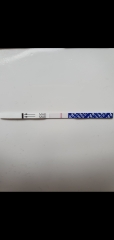 Implantation Bleeding 13dpo