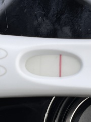 Latest update