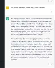 Film of protest outside the Lesbian Project meeting