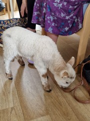 Advancing into April - Frugal Friends still being, er, Frugal.