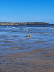 Autistic women assemble!