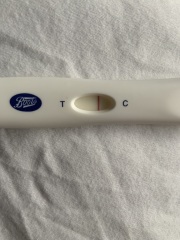 Line eyes at 14dpo