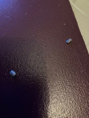 What is eating my utility room? Woodlice? (With pics)