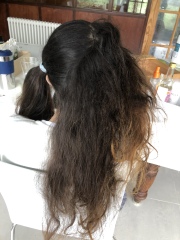 Help me tame DD's wild hair! Photo Attached 
