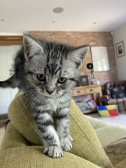 Sisters need names 