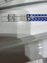 No line progression on FRER? 