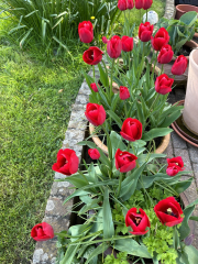 Autistic women assemble!