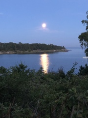 Autistic women assemble!