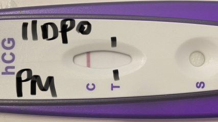 **BFaintP** 11DPO-12DPO