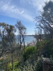 Are there any Aussies here?