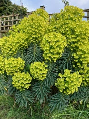 Come and tell me your dull and unexciting news 25: Calmly through the day 