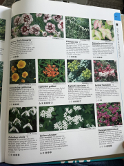 Slug and snail help!