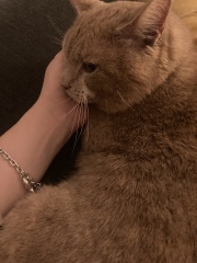My new pal!