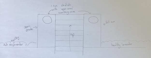 Help me plan 2 new beds