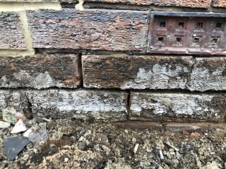 Damp/ pointing HELP