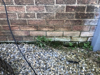 RISING DAMP BACK? 