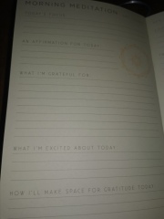 Gratitude journalling