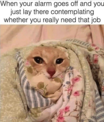 The Freedom Thread (continued) - A thread for people wanting to enjoy an alcohol free life. Everyone welcome!