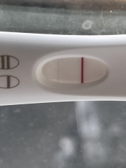 Pregnant or not