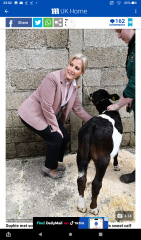 Royal Style and Beauty: Open the vaults, alert the nation, get out bling for the Coronation! 