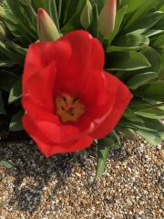 Autistic women assemble!