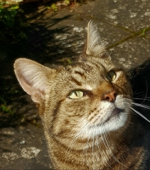 Meet Eddie