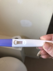 my pregnancy test