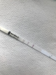 Early pregnancy test