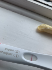 Early pregnancy?