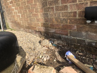 RISING DAMP BACK? 