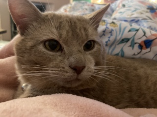 My new pal!