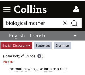 Made in Chelsea blokes - twins via surrogate