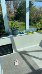 North facing garden?