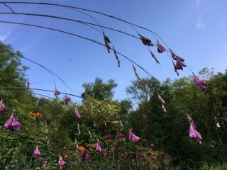 Thread 6 - TalkExiles: "Yup, still round."