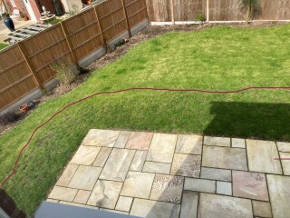 Lawn experts of mumsnet... (pics included)
