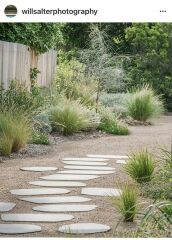 Hardy mediterranean plants suggestions, to thrive in a south facing shadowy garden!