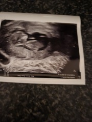 October - into the second trimester!
