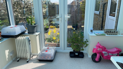 North facing garden?