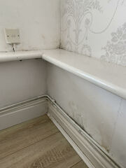 Hi @PigletJohn damp issue, please help!