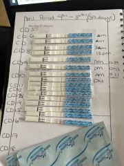 Timing when have a peak ovulation test 