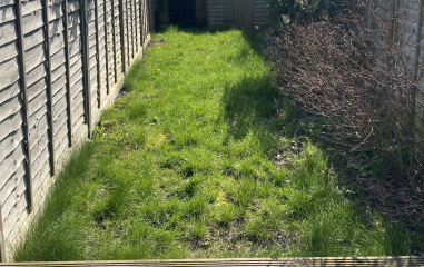 Hardy mediterranean plants suggestions, to thrive in a south facing shadowy garden!