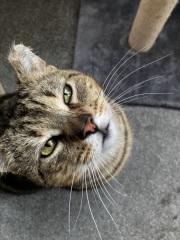 Meet Eddie