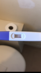 my pregnancy test