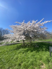 Thread 6 - TalkExiles: "Yup, still round."