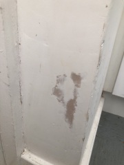 RISING DAMP BACK? 