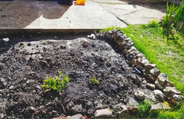 My hydrangea hell